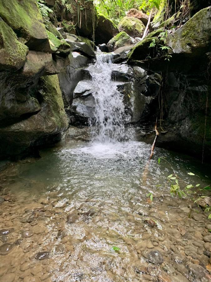 Wild Wasi Lodge - Adventures - Guided Tours Puyo Exterior photo