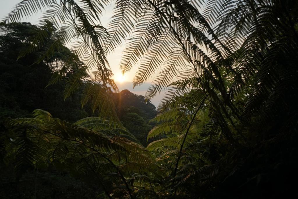 Wild Wasi Lodge - Adventures - Guided Tours Puyo Exterior photo