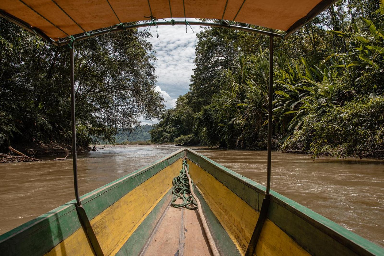 Wild Wasi Lodge - Adventures - Guided Tours Puyo Exterior photo